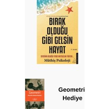 Destek Yayınları Bırak Olduğu Gibi Gelsin Hayat + Geometri Hediye