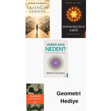 Destek Yayınları Baran Saldanlı 3 Kitap Seti + Geometri Hediye