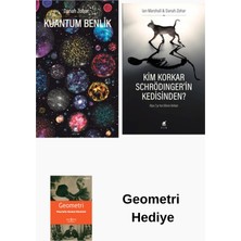 Ayrıntı Yayınları Danah Zohar 2 Kitap Seti + Geometri Hediye