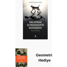 Ayrıntı Yayınları Kim Korkar Schrödinger'in Kedisinden? + Geometri Hediye