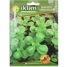 TeknoKapsül Tohum Semizotu 5gr