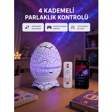Najmaddin Karg Galaksi Efektli Dinozor Yumurta Projektör – Yüksek Çözünürlüklü Najmaddin