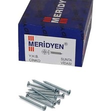 Techora Sale Meridyen Sunta Vidası 3.5X40 mm 15 Adet