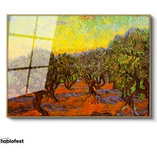 Tablofest Altın Renk Metal Çerçeveli Tamperli Cam Tablo Vincent van Gogh Zeytin Ağaçları Tarlası Ressam Tablosu Dekoru