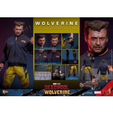 Hot Toys Wolverine (Tva Jacket Version) MMS756