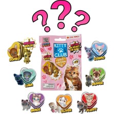 BYZM Cool Things Kitty Club Gold Edition 3D Sürpriz Figür Paketi
