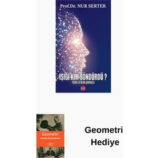 Kırmızı Kedi Yayınevi Işığı Kim Söndürdü? Türk Aydınlanması + Geometri Hediye