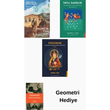 Destek Yayınları James Low 3 Kitap Seti + Geometri Hediye