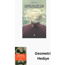 Ayrıntı Yayınları Uykusuzluk + Geometri Hediye