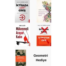 Destek Yayınları Emre Alkin 4 Kitap Seti + Geometri Hediye