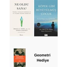 Koridor Yayıncılık Bruce D. Perry 2 Kitap Seti + Geometri Hediye