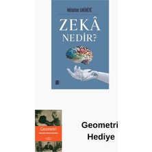 Mona Zeka Nedir? + Geometri Hediye