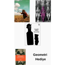 Everest Yayınları Flann O'brien 3 Kitap Seti + Geometri Hediye