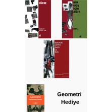 Ayrıntı Yayınları Hubert Selby 3 Kitap Seti + Geometri Hediye