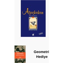 Ayrıntı Yayınları Ağaçkakan + Geometri Hediye