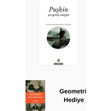 Ayrıntı Yayınları Yevgeniy Onegin + Geometri Hediye