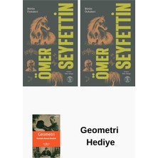 Everest Yayınları Ömer Seyfettin 2 Kitap Seti + Geometri Hediye