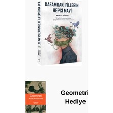 İndigo Kitap Kafamdaki Fillerin Hepsi Mavi + Geometri Hediye