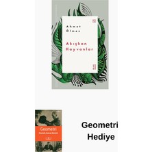 Ketebe Akışkan Hayvanlar + Geometri Hediye