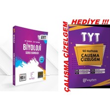 Karekök Yayıncılık Ayt 2027 Güncel Müfredat Biyoloji Soru Bankası Karekök