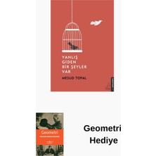 Destek Yayınları Yanlış Giden Bir Şeyler Var + Geometri Hediye