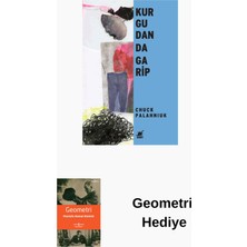 Ayrıntı Yayınları Kurgudan Da Garip + Geometri Hediye