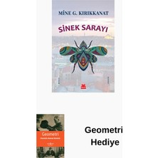 Kırmızı Kedi Yayınevi Sinek Sarayı + Geometri Hediye