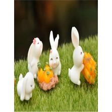 Himi Teraryum Objeleri Tavşan Set 6 Parça Dekoratif Biblo ve Diorama Objesi