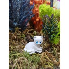 Himi Teraryum Objeleri 2 Adet Kedi Dekoratif Biblo ve Diorama Objesi