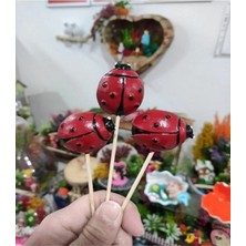 Himi Teraryum Objeleri 3'lü Uğur Böceği Dekoratif Biblo ve Diorama Objesi