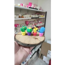 Himi Teraryum Objeleri 4'lü Kaktüs Dekoratif Biblo ve Diorama Objesi