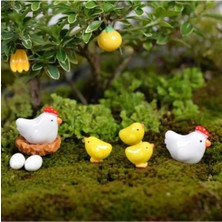 Himi Teraryum Objeleri Sevimli Tavuk Horoz Civciv Yumurta Dekoratif Biblo ve Diorama Objesi