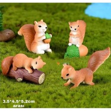 Himi Teraryum Objeleri Sincap 4'lü Dekoratif Biblo ve Diorama Objesi