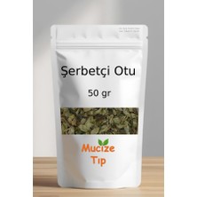 Mucize Tıp Şerbetçi Otu Kurusu Dökme 50 gr