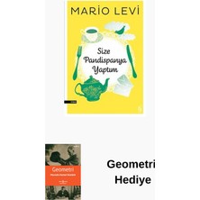 Everest Yayınları Size Pandispanya Yaptım + Geometri Hediye
