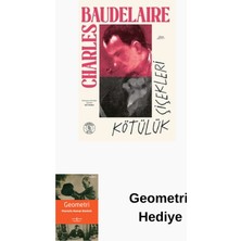 Everest Yayınları Kötülük Çiçekleri + Geometri Hediye