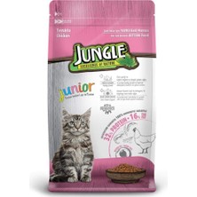Jungle Tavuklu Yavru Kedi Maması 15 kg