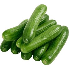 Elitse Hıyar Tohumu 20 gr