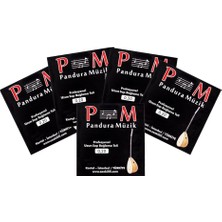 Pandura Müzik Profesyonel Paslanmaz 0,20 Uzun Sap Bağlama Teli 5' Li Paket