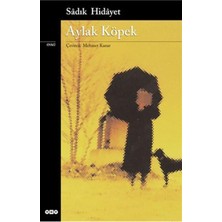 Yapı Kredi Yayınları Aylak Köpek