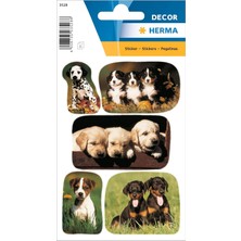 Herma 3528 Hayvan Çıkartması, Köpek Yavrusu Fotoğrafları (15 Çıkartma, Kağıt, Mat) Kendinden Yapışka