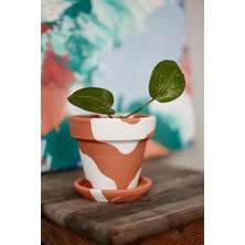 Hero Terracotta Konik Saksı+Tabak • Bohem Beyaz (Küçük)