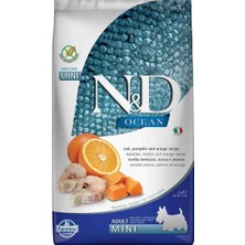 N&D Pet Foods Kuru Köpek Maması, Morina Balığı, Balkabağı Portakallı, Yetişkin Mini, 2