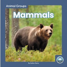 Hero Mammals