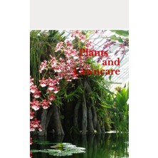 Hero Plants And Lawncare