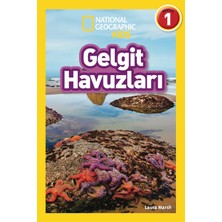 Beta Kids Gelgit Havuzları