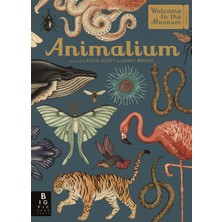 Bonnier Books UK Animalium