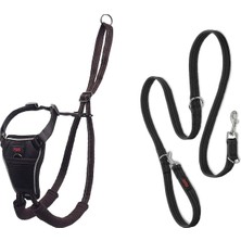 Halti No Pull Yemek Takımı ve Antrenman Tasması Kombi Paket, Stop Dog Pulling On Walks With Halti, I