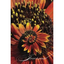 Hero Garden Journal: Plants And Planning