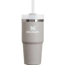 Stanley Quencher H2.0 Flowstate Paslanmaz Çelik Vakum Yalıtımlı Bardak Kapaklı ve Pipetli Su, Buzlu